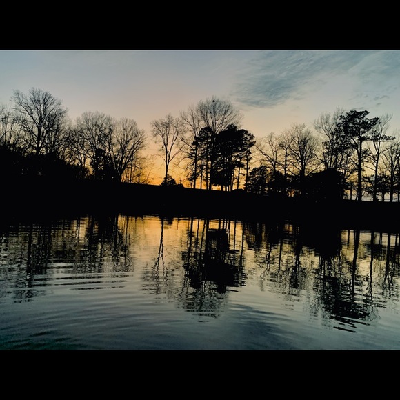 Meet your Posher, Talia - Picture 1 of 1